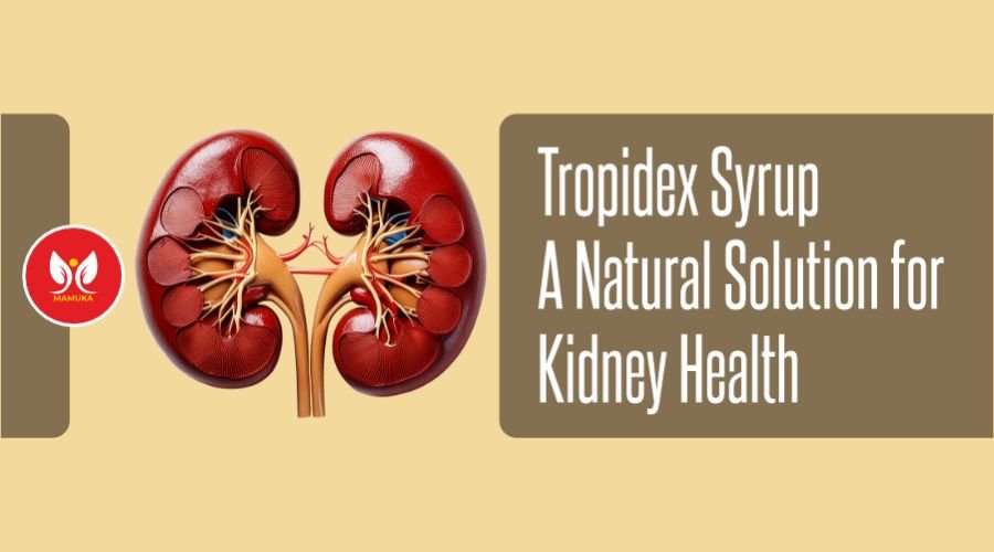 Mamuka Healthcare Tropidex Syrup-A Natural Solution for Kidney Health