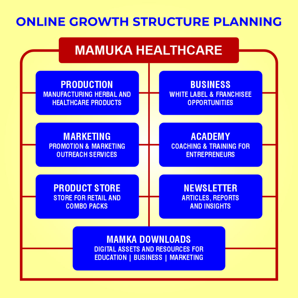 mamuka healthcare biz plan